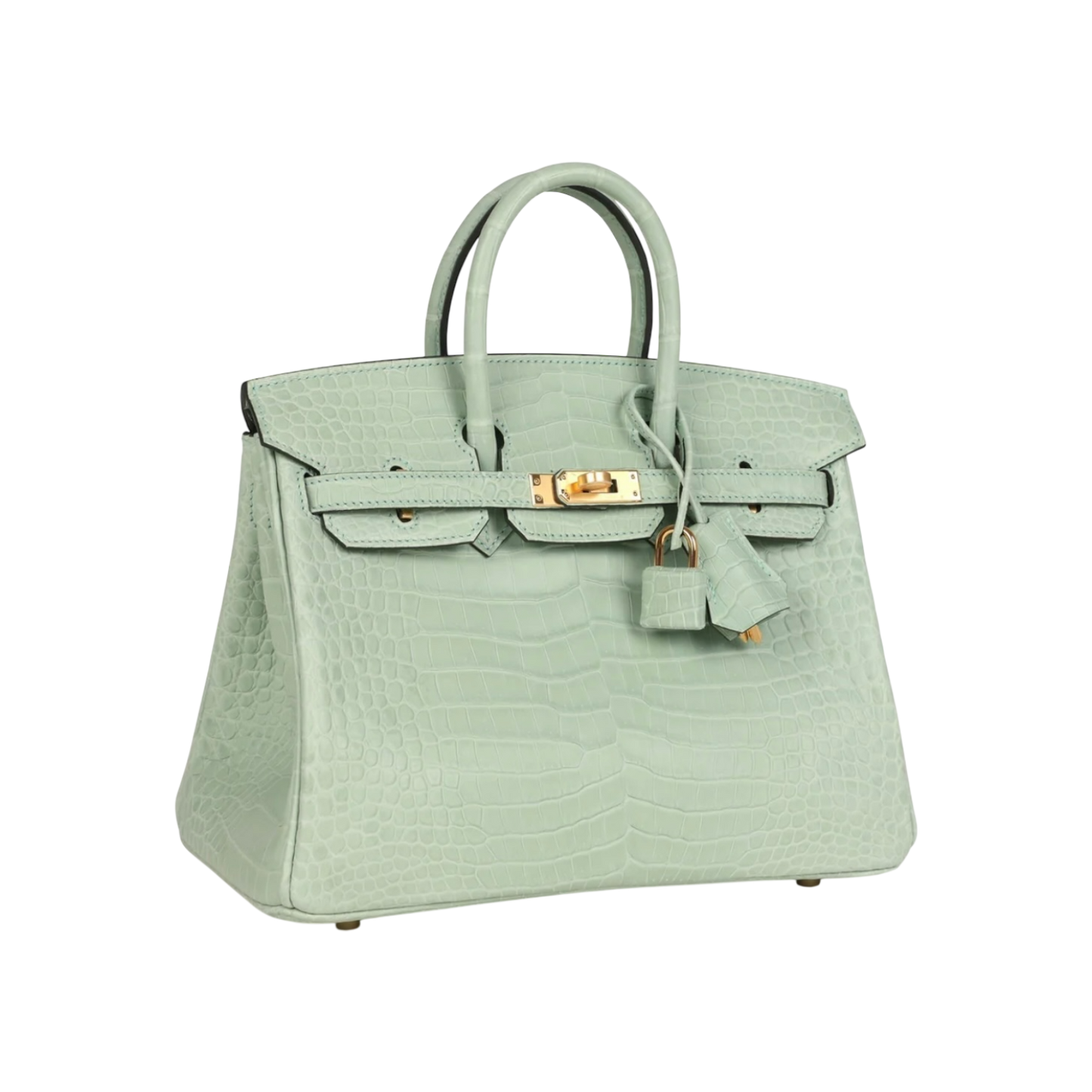 Hermès Birkin 25 Vert Matte Porosus Crocodile Gold Hardware