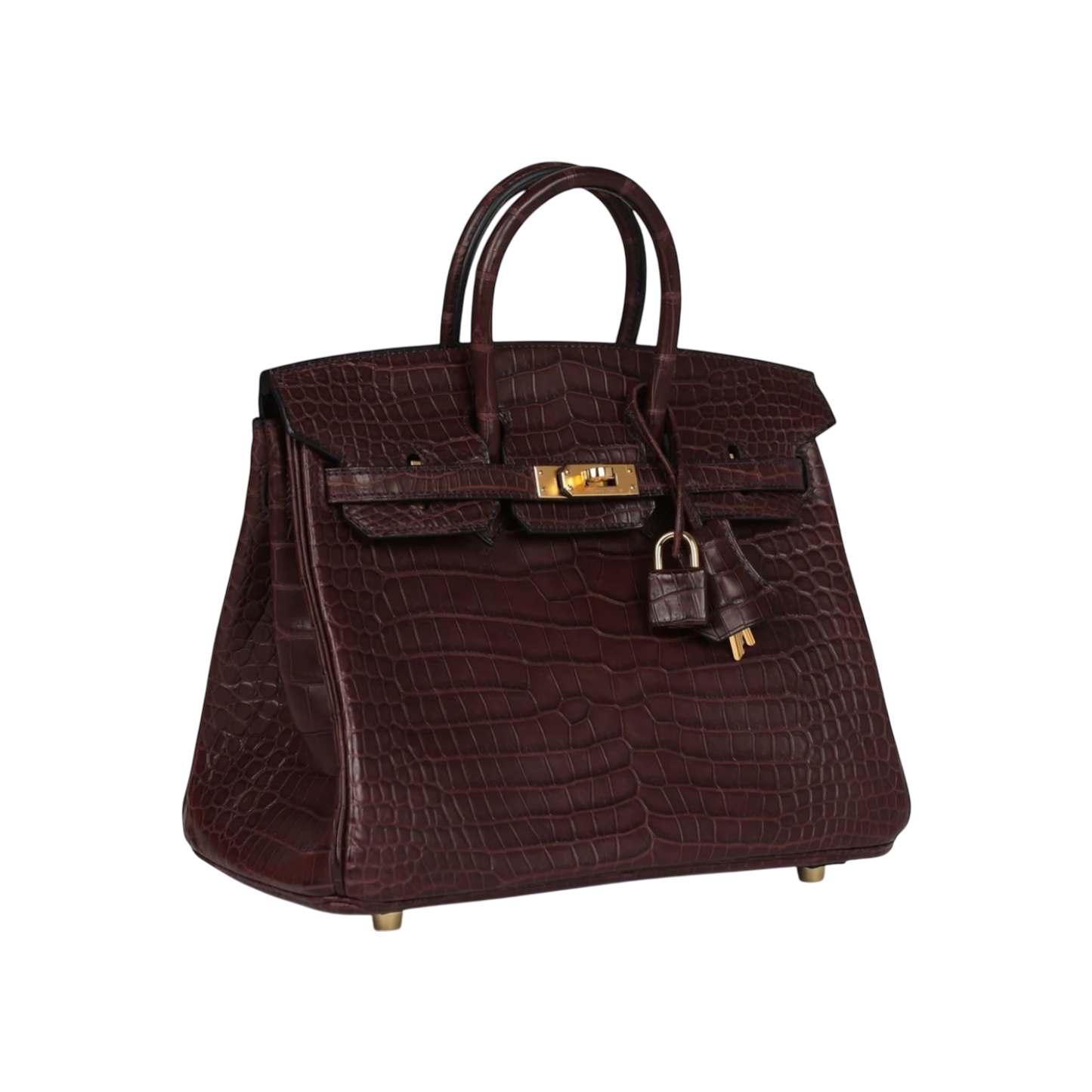 Hermès Birkin 25 Sellier Matte Porosus Crocodile Gold Hardware