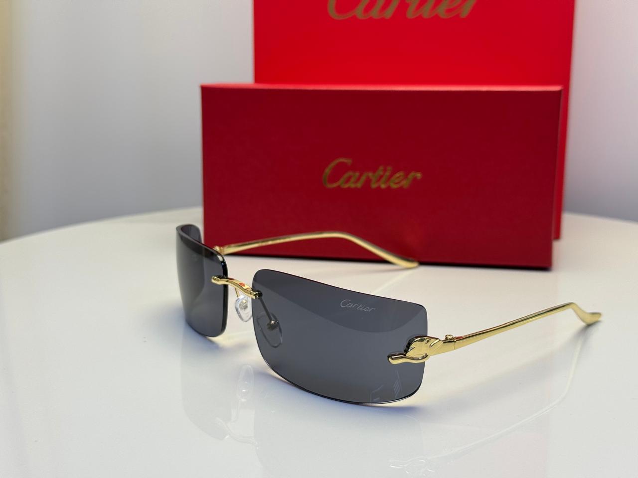 Cartier | CT0462S Gradient – Silver / Brown