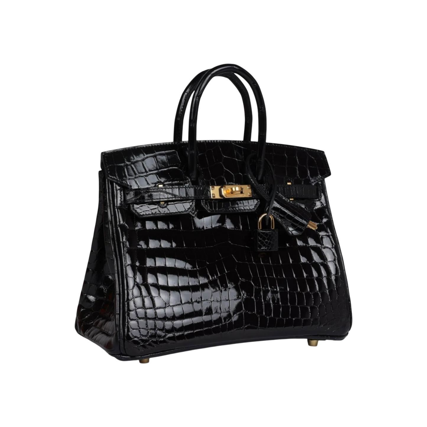 Hermès Birkin 25 Black Niloticus Crocodile Gold Hardware