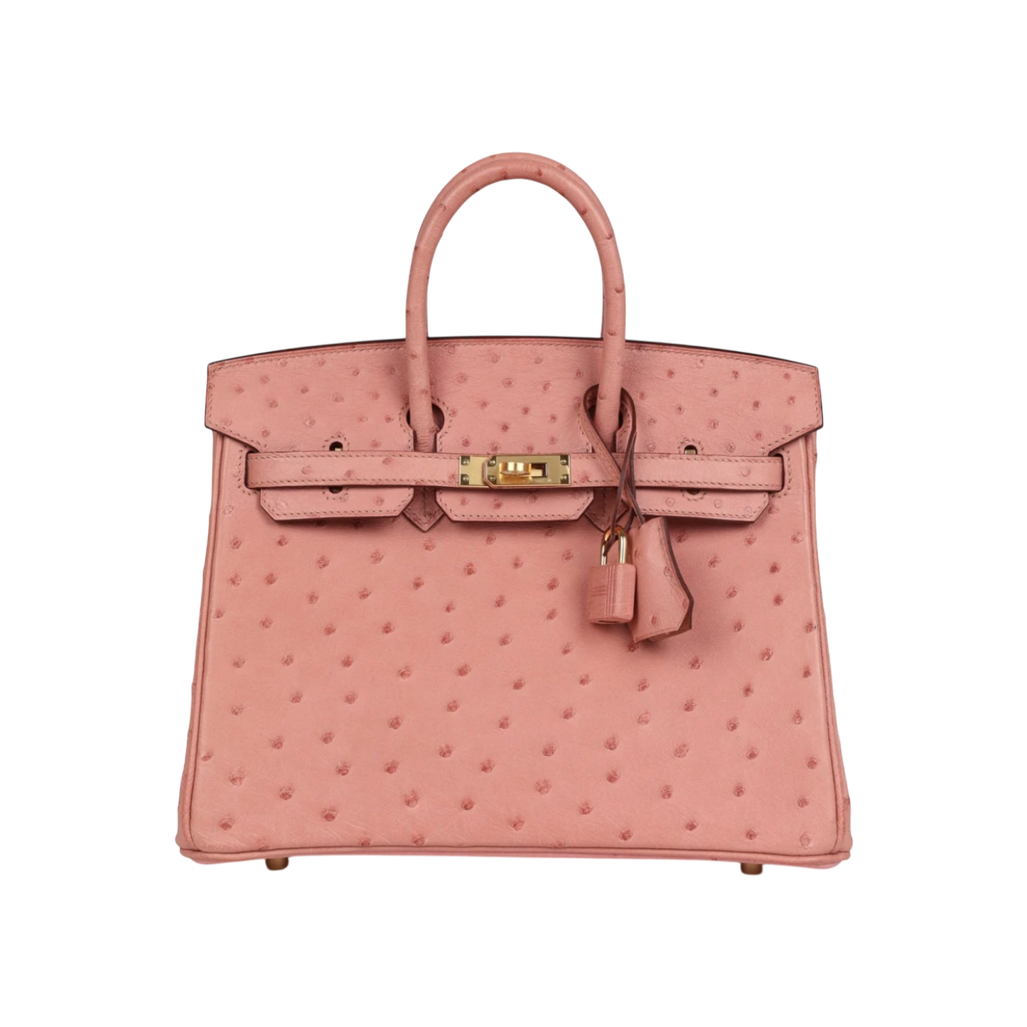 Hermès Birkin 25 Terre Cuite Ostrich Gold Hardware