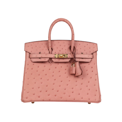 Hermès Birkin 25 Terre Cuite Ostrich Gold Hardware