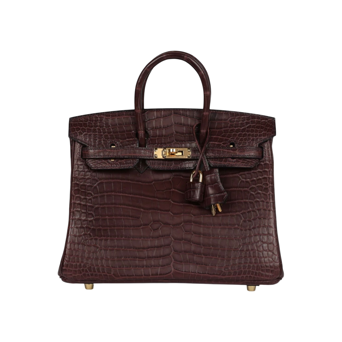 Hermès Birkin 25 Sellier Matte Porosus Crocodile Gold Hardware