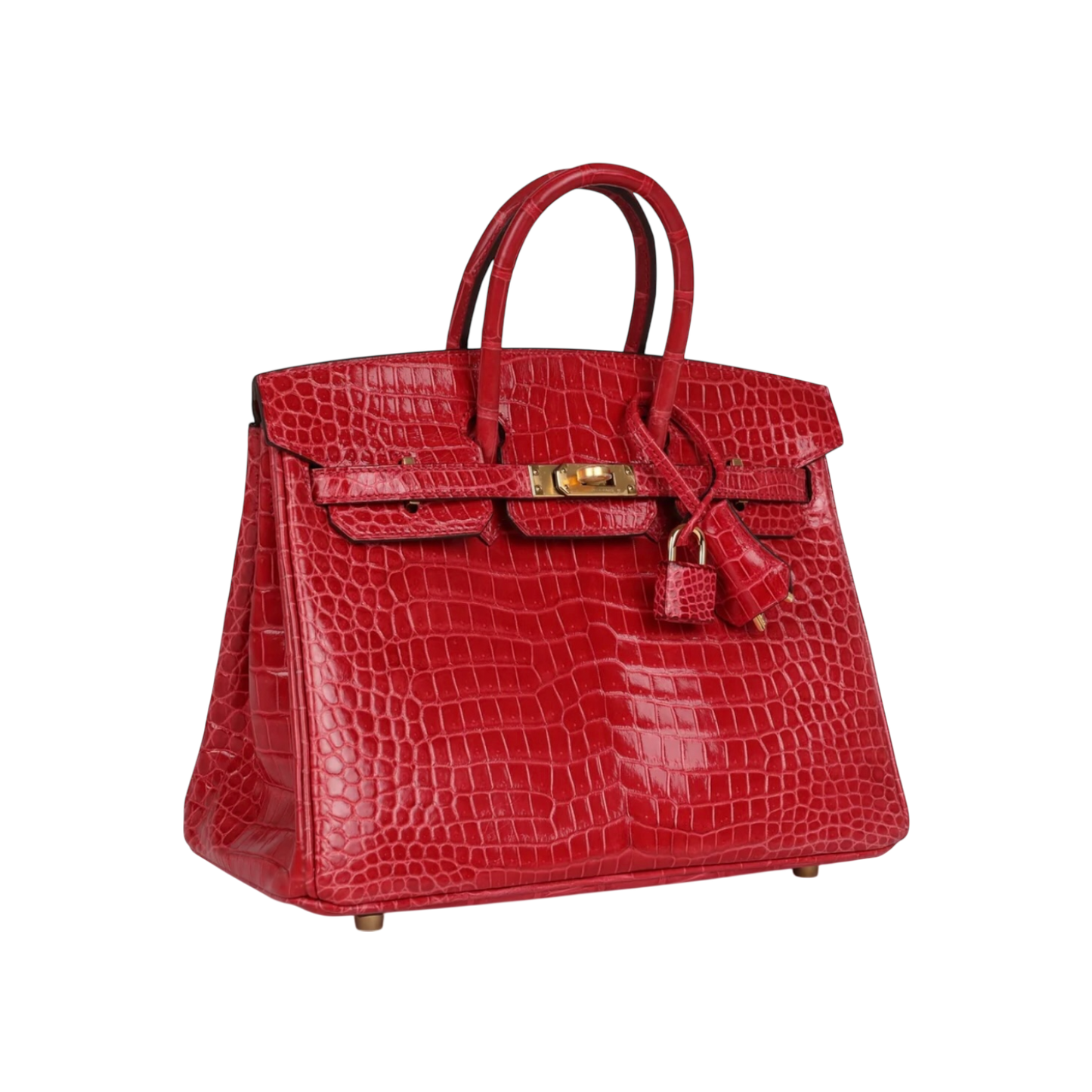 Hermès Birkin 25 Braise Porosus Crocodile Gold Hardware