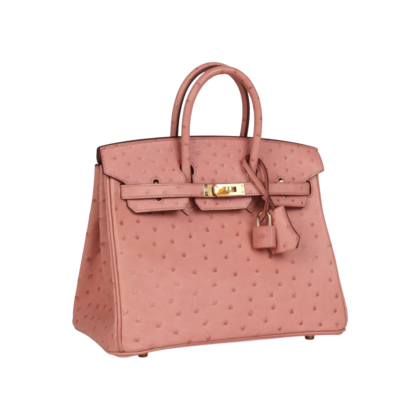 Hermès Birkin 25 Terre Cuite Ostrich Gold Hardware