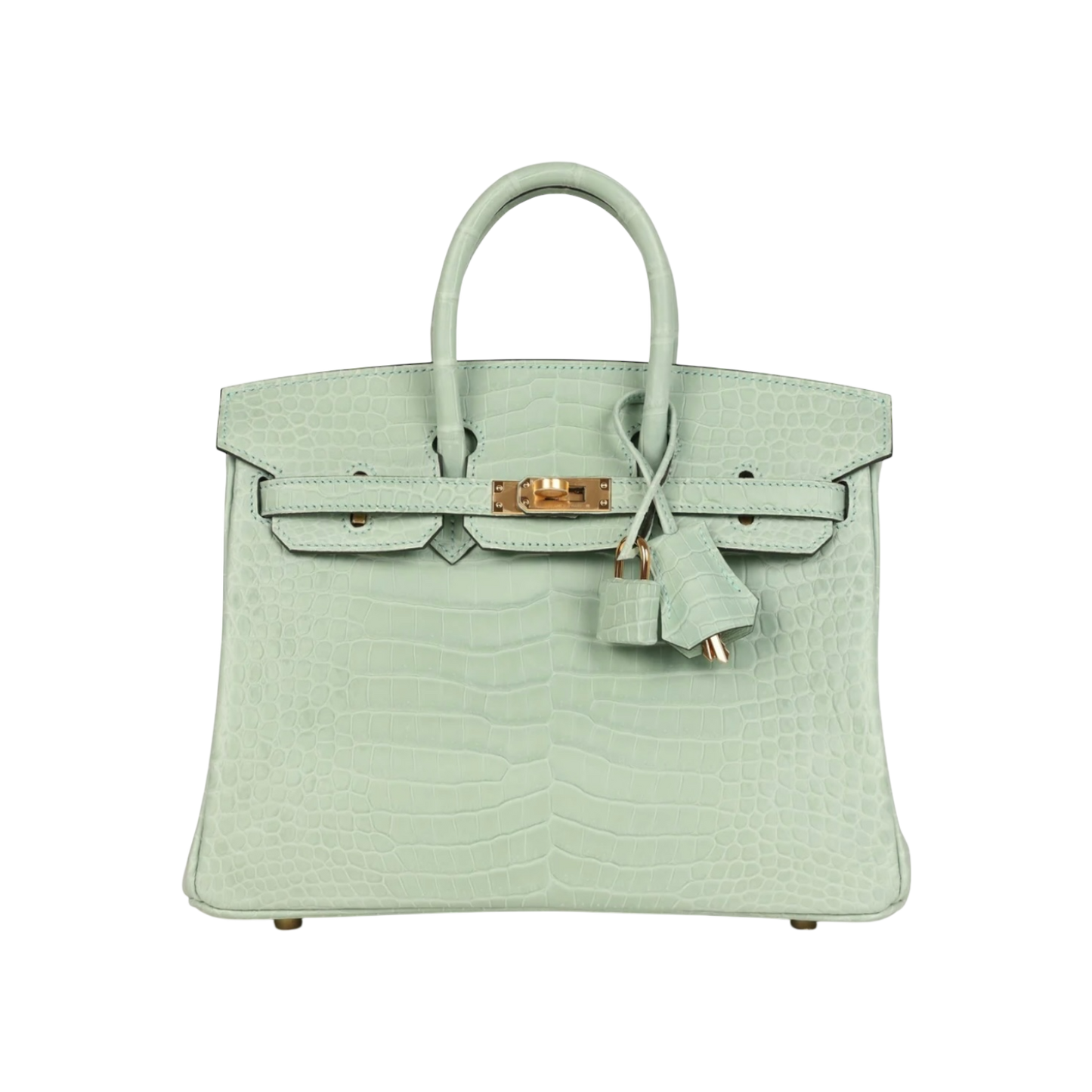 Hermès Birkin 25 Vert Matte Porosus Crocodile Gold Hardware